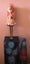 Ever after high C.A. Cupid doll Carousel 5