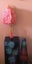 Ever after high Ginger Breadhouse doll Carousel 13