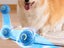 Shaky Ball Toy Automatic Jumping Ball Dog Toy Vibrating Ball For Pet Blue Carousel 5