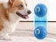 Shaky Ball Toy Automatic Jumping Ball Dog Toy Vibrating Ball For Pet Blue Carousel 6