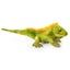 Loading Image 1 of 1