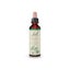 Bach Original Flower Remedies Walnut Drops 20ml Carousel 1