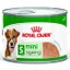 Royal Canin Dog Mini Ageing Mousse 195g Carousel 1