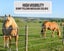 Electric Fence Tape Polytape Carousel 5