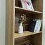 SANTAREM BOOKCASE, Ample Space? Solved! Carousel 12