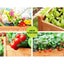 2 X Garden Bed 90X30X33Cm Wooden Planter Box Raised Container Growing Carousel 4