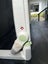 Safety 1st Secure Top Bed Rail Carousel 4