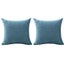 Linen Throw Pillow Cover - 2 Packs Carousel 5