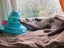 Bubba is missing from Waiotira Carousel 7