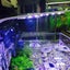 38cm Full Spectrum Aquarium Light LED Aquatic Plant Lighting Fish Tank Lamp Carousel 12