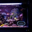 LCD Aquarium Digital Thermometer for Fish Tank Temperature Gauge Touch Screen Carousel 5