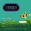 LCD Aquarium Digital Thermometer for Fish Tank Temperature Gauge Touch Screen Carousel 8