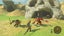The Legend of Zelda Breath of the Wild (Wii U) *MINT COMPLETE* Carousel 11