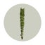 Loading Image 1 of 7
