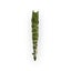 Bay Laurel Smudge Stick Carousel 5
