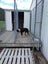 Loading Image 1 of 9