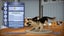 The SIMS 3: PETS (3DS) Carousel 8