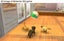 Nintendogs + Cats: French Bulldog and New Friends *MINT COMPLETE* Carousel 3