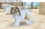 Nintendogs + Cats: French Bulldog and New Friends *MINT COMPLETE* Carousel 7