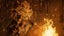 Oddworld: Soulstorm ODDTIMIZED EDITION (Nintendo Switch) *COLLECTOR'S BUNDLE* Carousel 6