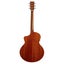 Artist JMH200IR Solid Top Acoustic-Electric w/ Impulse Response Carousel 3