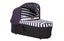Mountain Buggy Plus one model lots of extras included + capsule & base Carousel 2