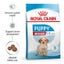 Royal Canin Medium Puppy Trial Bag 1kg Carousel 2
