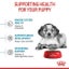 Royal Canin Medium Puppy Trial Bag 1kg Carousel 4