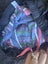 Canterbury pants Carousel 4