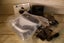 PLAYSTATION VR FULL STARTER PACK CAMERA HEADSET AS NEW CONDITION “BIG SALE” $299 Carousel 17