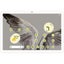 Loading Image 1 of 7