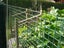 PTN NEW Large Wire Netting Sale Sale Carousel 6