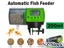 PTN NEW Fish Feeder Sale - Sale Sale Carousel 1