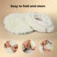 Pawz Cat Tunnel Soft Mat Foldable Funny Exercise Plush Kitten Play Tube Beige Carousel 9