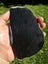 Pounamu greenstone quality carving slab very dark Carousel 6