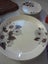 Johnson of Australia Dinner set of 26 Carousel 7