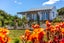 gallery view thumbnail