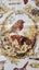 ~" British Birds Made In Portugal Cotton Vintage Tea Towel "~ Carousel 5
