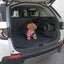 Dog Car Seat Cover Carousel 5