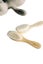 BEETL: Baby Brush Carousel 1