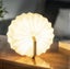 Gingko: Walnut Accordion - Small LED Light Carousel 1