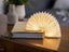 Gingko: Walnut Accordion - Small LED Light Carousel 2