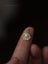 18K Gold-Plated S925 Silver Seashell Pendant Necklace with Pearl Accent Carousel 3