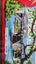 ~" Brisbane Designed In Australia Pure Linen Vintage Tea Towel "~ Carousel 6