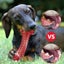 Durable Interactive Chew Toy for Large Dogs - Teeth Cleaning Carousel 3