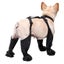 Adjustable Waterproof Dog Shoes Carousel 3