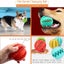 Interactive Rubber Chew Ball for Dogs & Cats - Treat Feeder & Tooth Cleaner Carousel 3