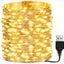 USB Wire String Light 10M Carousel 1