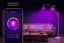 SmarterHome 10W Colour Warm Cool White Smart Bulb 4 Pack Carousel 4