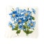 Loading Image 1 of 2
